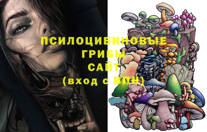 купить   Шахты  блэк спрут как войти  Псилоцибиновые грибы Magic Shrooms 